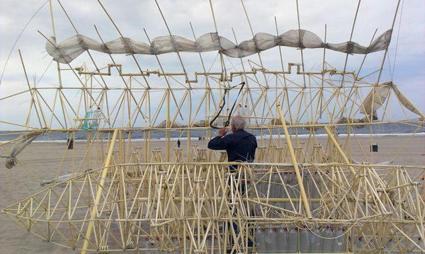 Strandbeestkunstenaar Theo Jansen, homo universalis