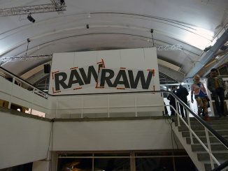 RAW Art Fair 2014