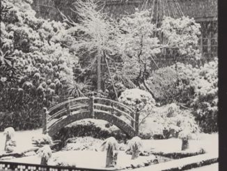 Frank Lloyd Wright's Tokyo "Imperial Hotel" (Teikoku Hoteru), completed in 1923, was described by the architect as a blending of East and West, and thus neither of the East nor the West. The hotel was demolished in 1967 just as skyscrapers began to take over Tokyo, but surviving photographs and publications from the Wright Archives give us a glimpse of the lost architectural masterpiece.