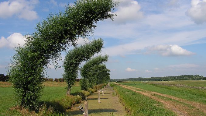 In de aanloop naar de Groninger stadsmarkeringen (1990)