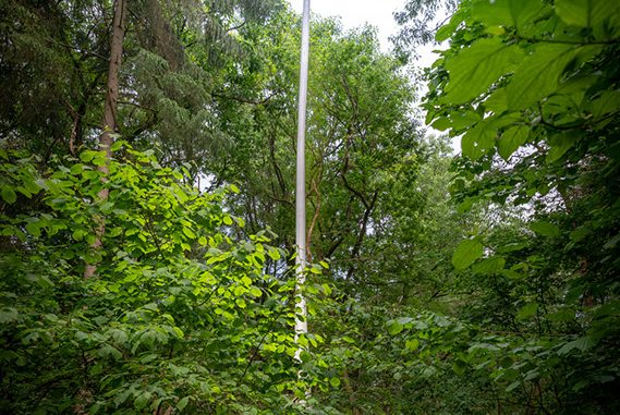 Lucette ter Borg over PaltzBiënnale