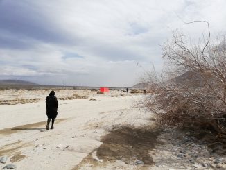 Desert X biënnale, Coachella Valley